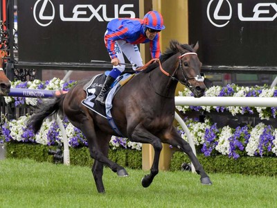 Vow And Declare Ready To Meet Melbourne Cup Challengers Head ... Image 5